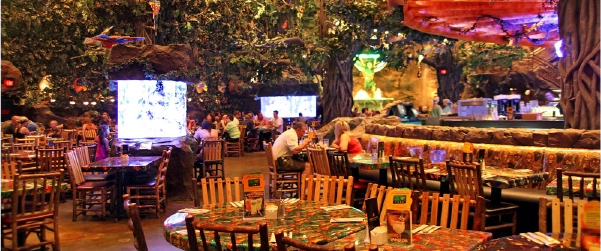 rainForest 1